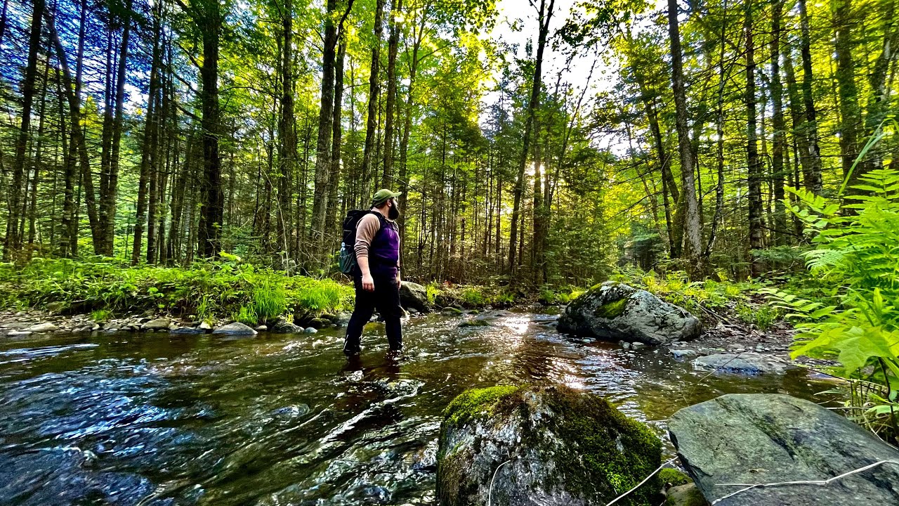 hiking through stream in forest